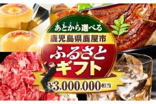 あとからセレクト【ふるさとギフト】300万円　KN000-AS0300