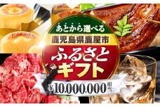 あとからセレクト【ふるさとギフト】1,000万円　KN000-AS1000