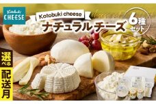 901-1 ナチュラルチーズセット【6月出荷】　KN087-001-06