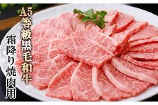 A5等級黒毛和牛霜降り焼肉用 A8-40_ 牛肉 黒毛和牛 焼肉 霜降り 肩ロース ロース A5 鹿児島 セット 贈答 A5 豪華 パーティー グルメ 産直 産地直送 BBQ 【1166302】