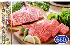 A5等級黒毛和牛サーロインステーキ2枚&焼肉用(計660g) C0-16_ 牛肉 ステーキ サーロイン 焼肉 黒毛和牛 和牛 国産 産地直送 ギフト 贈答 A5 鹿児島県 枕崎 セット 食べ比べ グルメ 【1166305】