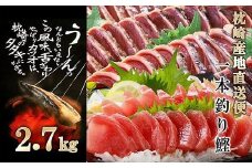 ＜2.7Kg＞1本釣り血合抜き(炭焼かつおたたき・刺身) B3-32_ かつお 枕崎 カツオ 鰹 かつおのたたき 鰹タタキ 一本釣り 海鮮 お刺身 生姜タレ にんにくタレ 人気 送料無料【1166295】