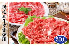 A5等級黒毛和牛すき焼き用500g A3-124_ 牛肉 すき焼き 黒毛和牛 和牛 国産 産地直送 ギフト 贈答 A5 鹿児島県 枕崎 グルメ 【1166306】