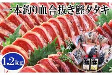 1本釣り血合抜き炭焼鰹たたき1.2kg 2種類のタレ付 　A3-123_ かつお 鰹 カツオ タタキ 一本釣り カツオのたたき 炭火焼 海鮮 魚介 鹿児島県 枕崎 産直 産地直送 国産 冷凍 贈答 ギフト 【1166307】