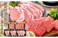 鹿児島県産A5等級黒毛和牛焼肉&豚ローステキカツ用 C0-19_ 牛肉 黒毛和牛 焼肉 ロース カツ用 トンテキ A5 鹿児島 セット 食べ比べ 贈答 A5 豪華 パーティー グルメ 産直 産地直送 BBQ 【1166332】