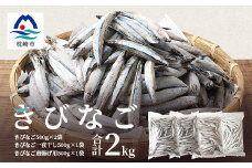 枕崎産 きびなご＜合計2kg＞冷凍 一夜干し 唐揚げ用 詰め合わせ A3-110【1166367】