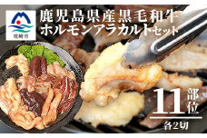 鹿児島県産黒毛和牛 ホルモン アラカルトセット 食べ比べ11部位 焼肉屋店主こだわり A3-203【1166394】