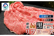 鹿児島県産黒毛和牛 A5等級特選リブロース 味わいすき焼き用肉 2～3人前 C0-30【1166403】