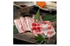 特製出汁が香る＜特撰＞黒豚しゃぶしゃぶセット 2人前＜自家製胡麻タレ付＞和懐おおた A8-34【1166481】