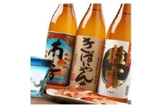 枕崎の水産高校生プロデュース かつおボニートチップスと鹿児島限定焼酎3本飲み比べセット A6-103【1166510】