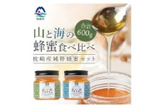 ＜ 数量限定 ＞国産 生はちみつ＜100%純粋＞日本みつばち＜非加熱・無添加の生蜂蜜＞ B3-16【1166524】