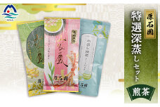 お茶の老舗“厚石園”の特選深蒸しセット (水出し煎茶・特上深蒸し煎茶・高級深蒸し煎茶) A3-98【1166619】