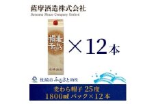 ＜熟成麦焼酎＞「麦わら帽子」25度 1800ml パック 12本セット G5-3【1166646】
