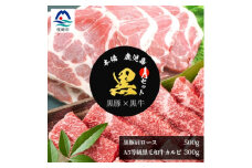 ＜本場鹿児島 黒のセットA＞A5等級黒毛和牛カルビ300g・黒豚肩ロース500g  C0-41【1166701】