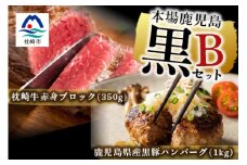 ＜本場鹿児島 黒のセットB＞黒豚ハンバーグ 1kg・枕崎牛 赤身ブロック 350g  C0-42【1166702】