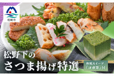 本場鹿児島 松野下の特選さつま揚げとコガ茶セット＜12種類+コガ茶＞ B3-54【1166741】