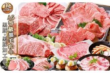 お肉の定期便(12回)枕崎お楽しみ便(A5等級黒毛和牛・黒豚・黒豚加工品etc) KK-6003_ 肉 定期便 黒毛和牛 黒豚 加工品 ステーキ ソーセージ ハム 12回 ハンバーグ 鹿児島県 枕崎市 人気 おすすめ 送料無料 贈答 ギフト カツ 【1166746】