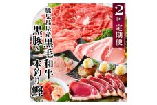 定期便(2回配送)鹿児島県産黒毛和牛・豚肉・一本釣りかつお DD-6004_ 定期便 牛肉 肉 お肉 切り落とし すき焼き すきやき 豚肉 かつお ハンバーグ ロース スライス 豚しゃぶ しゃぶしゃぶ 霜降り 海鮮丼 【1166749】