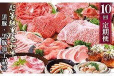 定期便(1年で10回配送)お楽しみ便(A5等級黒毛和牛・鹿籠豚(黒豚)・かご豚加工品等HH-6004_ 肉 牛肉 サーロイン ステーキ 焼肉 ハンバーグ 切り落とし 豚肉 ロース バラ もつ鍋 【1166752】