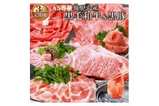 定期便(3回配送) 鹿児島産A5等級黒毛和牛&黒豚 EE-0028【1166760】
