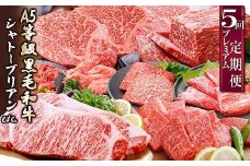 定期便(5回配送)A5等級黒毛和牛シャトーブリアン・サーロインステーキetc GG-0030_肉 お肉 牛肉 黒毛和牛 鹿児島県産 切り落とし 赤身 ブロック 焼肉 しゃぶしゃぶ すき焼き 人気 送料無料【1166762】