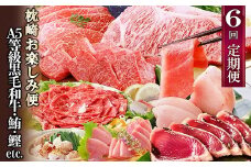 定期便(6回)枕崎お楽しみ便(黒毛和牛・まぐろ・かつおetc) GG-0046_ 肉 牛肉 サーロイン ステーキ 焼肉 切り落とし もつ鍋 海鮮 魚介 鰹 かつおたたき 鮪 中トロ 刺身 人気 送料無料 【1166768】