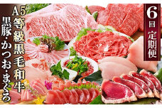 定期便(6回)A5等級黒毛和牛・黒豚・かつお・まぐろ FF-0058_ 定期便 牛肉 肉 お肉 サーロイン ステーキ 焼肉 ハンバーグ 切り落とし 豚肉 しゃぶしゃぶ ロース バラ 霜降り 生ハム まぐろ かつお【1166770】