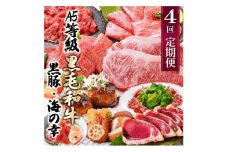 定期便(4回配送)黒毛和牛&黒豚・かつお・さつまあげ NN-0040_ 肉 お肉 牛肉 焼肉 ハンバーグ 切り落とし 薩摩揚げ さつま揚げ サーロイン ステーキ 鰹 生ハム 人気 おすすめ 送料無料 贈答 【1166778】