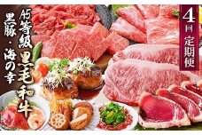 定期便(4回配送)黒毛和牛&黒豚・かつお・さつまあげ NN-0040_ 肉 お肉 牛肉 焼肉 ハンバーグ 切り落とし 薩摩揚げ さつま揚げ サーロイン ステーキ 鰹 生ハム 人気 おすすめ 送料無料 贈答 【1166778】