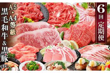 定期便(6回)A5・A4等級黒毛和牛・黒豚etc FF-0061_ 定期便 牛肉 肉 お肉 サーロイン ステーキ 焼肉 ハンバーグ 切り落とし 豚肉 生姜焼き ロース バラ しゃぶしゃぶ ホルモン ソーセージ 生ハム 【1166779】