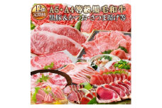 定期便(12回配送)お楽しみ便(A5・A4等級黒毛和牛・黒豚&かつお・さつま揚げ等) HH-6002【1166785】