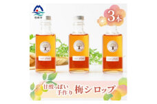 ＜お歳暮・のし付き＞ふかざわ農園の梅シロップ 180ml×3瓶　手づくり A3-27S【1459752】