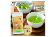 ＜お歳暮・のし付き＞(一番茶のみ使用)ほっこり煎茶 100g×3袋 A5-1S【1460812】