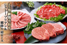 A5等級黒毛和牛(シャトーブリアン・霜降り肩ロース焼肉用) E0-4_牛肉 肉 お肉 シャトーブリアン ステーキ 黒毛和牛 肩ロース ロース ヒレ 赤身 切り落とし 霜降り 焼肉 枕崎市 人気 ランキング【1166300】
