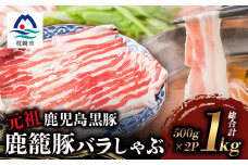 鹿籠豚しゃぶしゃぶ用＜合計1kg＞ 枕崎産黒豚 B3-8【1166989】