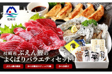 枕崎産 “ぶえん鰹” お刺身・腹身スティック・かつお餃子＜よくばりバラエティセット＞ A6-128【1167029】