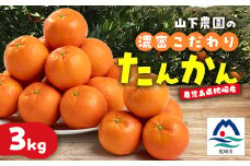 鹿児島県枕崎産 山下農園の濃密こだわりたんかん A5-16【1167031】