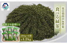 お茶の健康成分を丸ごと摂取!『食べる緑茶』＜200g×6袋＞“お菓子や料理などに使える”A3-269【1167062】
