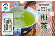 ＜ 煎茶 ＞  ( 100g×5本 )  鹿児島県 枕崎産 大河内製茶 A3-212【1167084】