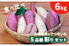 鹿児島さつまいも 5品種 食べ比べ 6kg 　2024年10月上旬より発送A3-54【1167097】