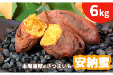 本場鹿児島さつまいも ＜安納蜜＞6kg　2024年10月より発送A3-55【1167099】
