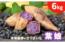 鹿児島さつまいも ＜紫娘＞6kg　2025年10月上旬より発送A3-53_ さつま芋 紫芋 むらさきいも 焼き芋 スイーツ 【1167098】