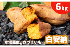 本場鹿児島さつまいも ＜白安納＞6kg　2024年10月上旬より発送A3-56【1167100】