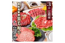 定期便(3回配送)枕崎お楽しみ便(黒毛和牛・一本釣りかつおたたき・さしみ) LL-6006_ 切り落し 鰹 刺身 カツオ ステーキ 肉 牛肉 【1462806】