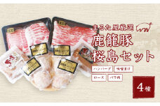 黒豚鹿籠豚 桜島セット＜計4種＞しゃぶしゃぶ用 ハンバーグ 味噌漬け 枕崎の鰹屋まるた屋 C0-3【1167962】