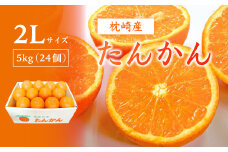 ＜2Lサイズ ＞南国特産もぎたて たんかん 5kg＜先行受付＞2月下旬より順次発送 A6-12【1466325】