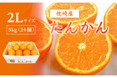 ＜2Lサイズ ＞南国特産もぎたて たんかん 5kg＜先行受付＞2月下旬より順次発送 A8-122【1466325】
