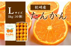 ＜Lサイズ＞南国特産もぎたて たんかん 5kg＜先行受付＞2月下旬より順次発送 A6-11【1466322】