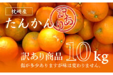 ＜訳あり＞南国特産もぎたてフルーツ たんかん10kg＜先行受付＞2月下旬より順次発送 A6-13【1466329】