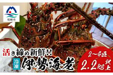 枕崎港水揚げ!　活〆冷凍 ＜伊勢海老＞ 2～4匹 計約2.2kg E0-14【1470872】
